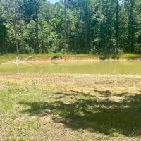 Camp and 49 acres Amite Co.