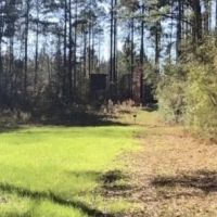 Camp and 49 acres Amite Co. images 2