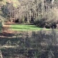 Camp and 49 acres Amite Co. images 3