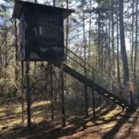 Camp and 49 acres Amite Co. images 4