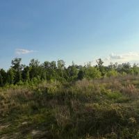 22 Acres in Wayne County MS