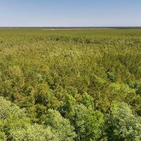 10.42 acres of Recreational Land For Sale in Craven County NC images 2