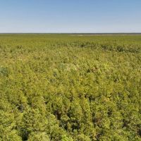 10.42 acres of Recreational Land For Sale in Craven County NC images 3