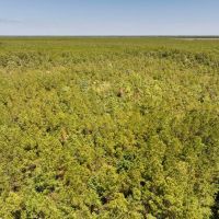 10.42 acres of Recreational Land For Sale in Craven County NC images 4