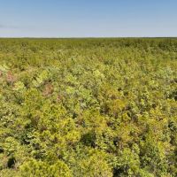 10.42 acres of Recreational Land For Sale in Craven County NC images 5
