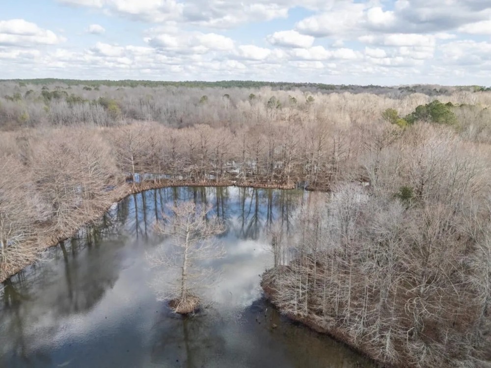 Hunting Land For Sale in Montgomery County MS featured image