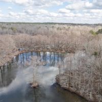 Hunting Land For Sale in Montgomery County MS images 1