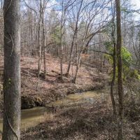 Hunting Land For Sale in Montgomery County MS images 2
