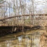 Hunting Land For Sale in Montgomery County MS images 3