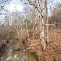 Hunting Land For Sale in Montgomery County MS images 4
