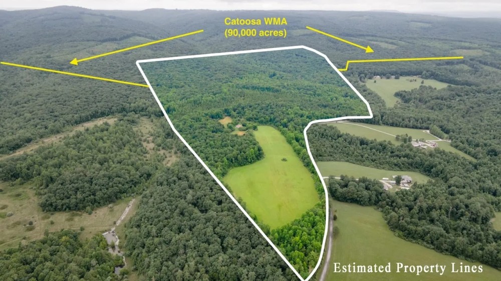 777 WMA Rd featured image