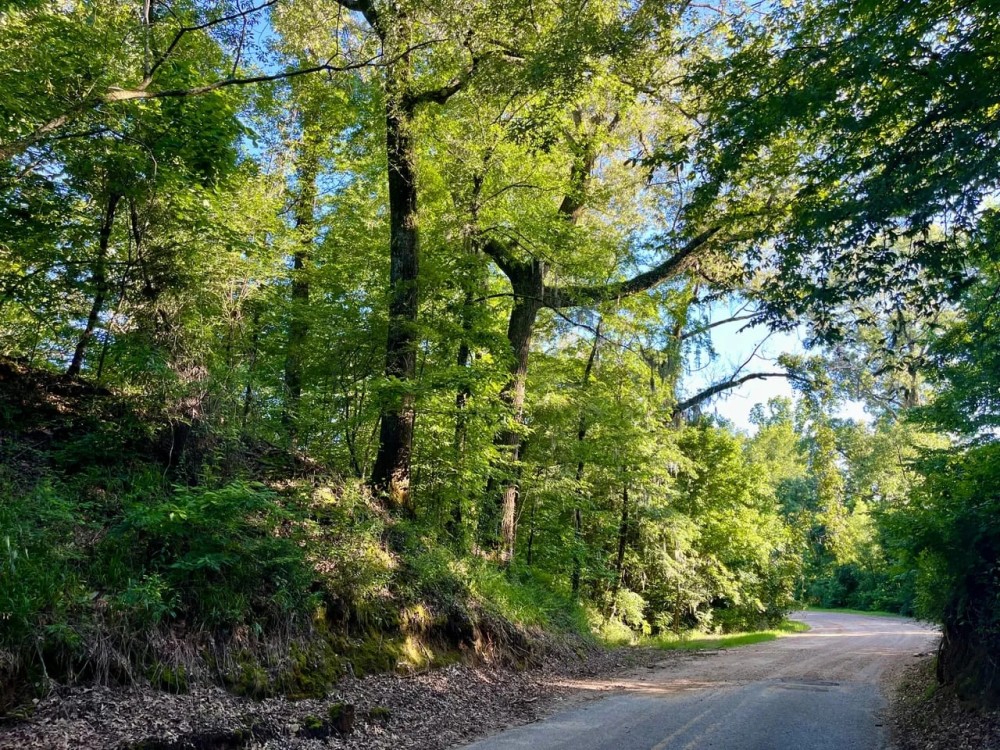146 - acres of Hunting Land in Warren County MS featured image