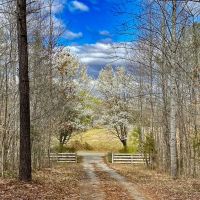 23.68 acres of Residential Recreational Hunting Land For Sale in Louisa County VA images 2