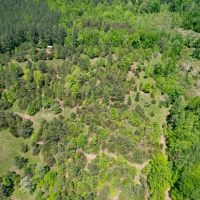 23.68 acres of Residential Recreational Hunting Land For Sale in Louisa County VA images 4