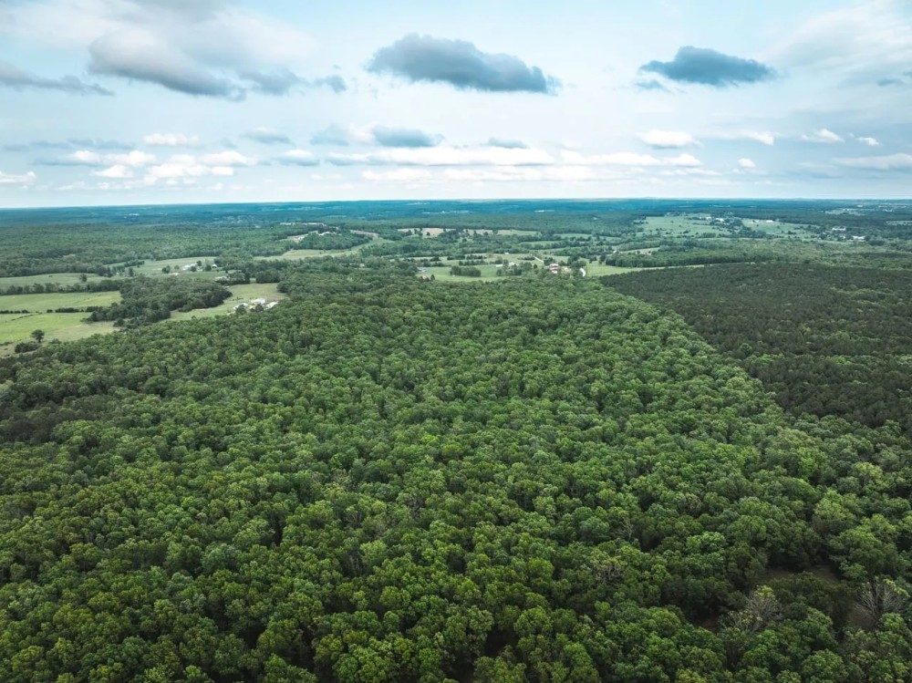 Red Barn Lodge Acres-Tract 3 featured image