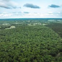 Red Barn Lodge Acres-Tract 3