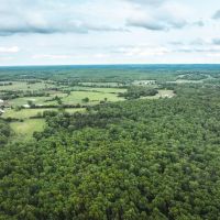 Red Barn Lodge Acres-Tract 3 images 2
