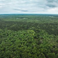 Red Barn Lodge Acres-Tract 3 images 5