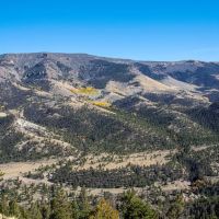 Lake Fork River Ranch images 1
