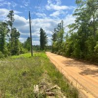 35 Acres in the Heart of the DeSoto National Forest in Wayne County MS