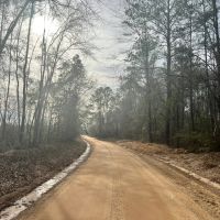 50 Acres in Wayne County MS off Stickland Road
