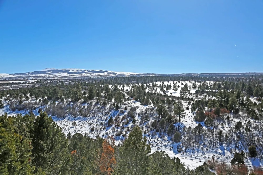 Ponderosa Lot 1 featured image