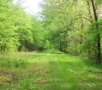 395 Acres with a Home in Leflore County at 1400 County Road 246 in Sidon MS images 4