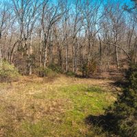 Spring Valley Farm images 2