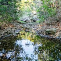 Circle 3-S Ranch images 3
