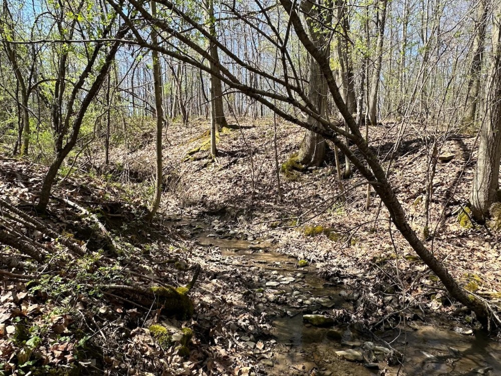 5 acres Recreational Land and Hunting Land in Grove NY CR15B featured image