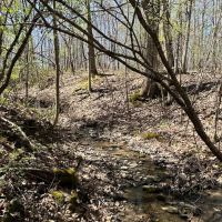 5 acres Recreational Land and Hunting Land in Grove NY CR15B