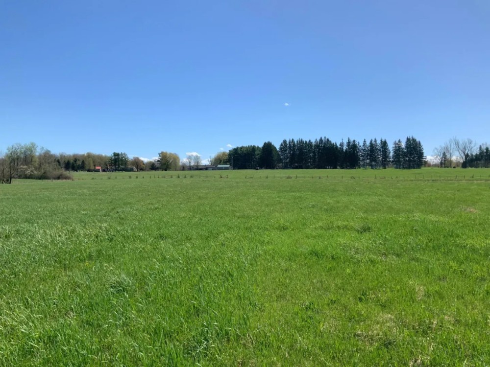 182 acre Tillable and Timber Land Mohawk NY featured image