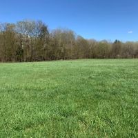 182 acre Tillable and Timber Land Mohawk NY images 2