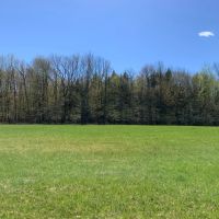 182 acre Tillable and Timber Land Mohawk NY images 3