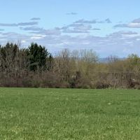 182 acre Tillable and Timber Land Mohawk NY images 5