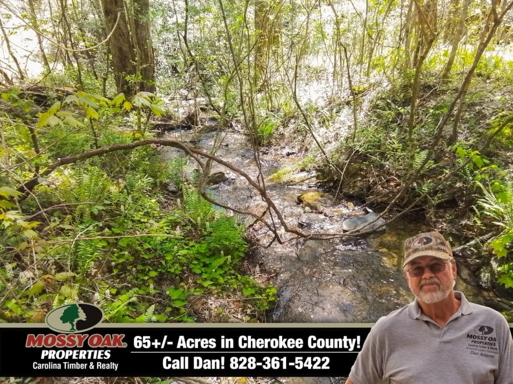65 -Ac Unrestricted Borders USFS with Mountain Creek featured image