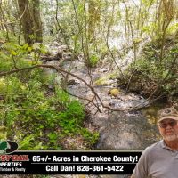 65 -Ac Unrestricted Borders USFS with Mountain Creek