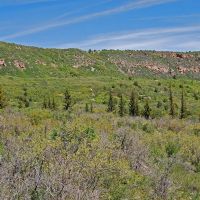 Uncompahgre Hunting Ranch images 1