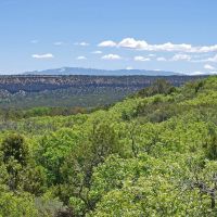 Uncompahgre Hunting Ranch images 5