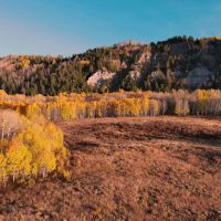 Montrose Alpine Ranch images 3
