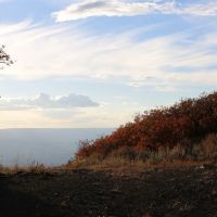 Montrose Alpine Ranch images 5