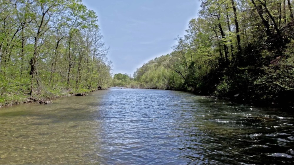 Twelve Mile Creek Auction featured image