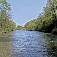 Twelve Mile Creek Auction