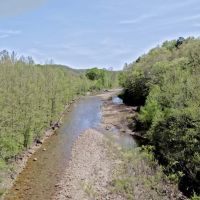 Twelve Mile Creek Auction images 2