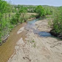 Twelve Mile Creek Auction images 3