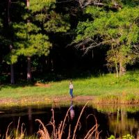 Persimmon Creek images 3