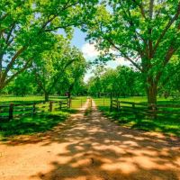 Persimmon Creek images 4