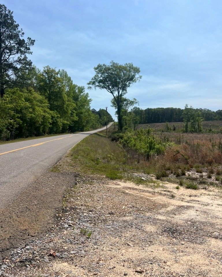 Jackson Parish Timber Tract 5B featured image