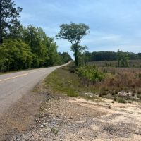 Jackson Parish Timber Tract 5B