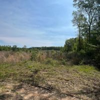 Jackson Parish Timber Tract 5B images 3